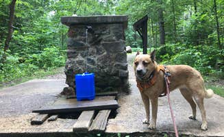 Art S.'s photo of camping with pets at Chipmunk Rapids near Crystal Falls, MI