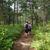 Review photo of Charge Pond Campground — Myles Standish State Forest by Drew Q., July 30, 2021