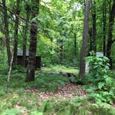 Review photo of Lost Lake Campground (WI) by Art S., July 30, 2021