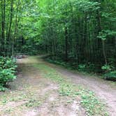 Review photo of Lost Lake Campground (WI) by Art S., July 30, 2021