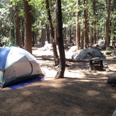 Review photo of North Pines Campground — Yosemite National Park by Crystal D., June 17, 2018