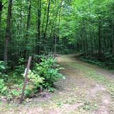 Review photo of Lost Lake Campground (WI) by Art S., July 30, 2021