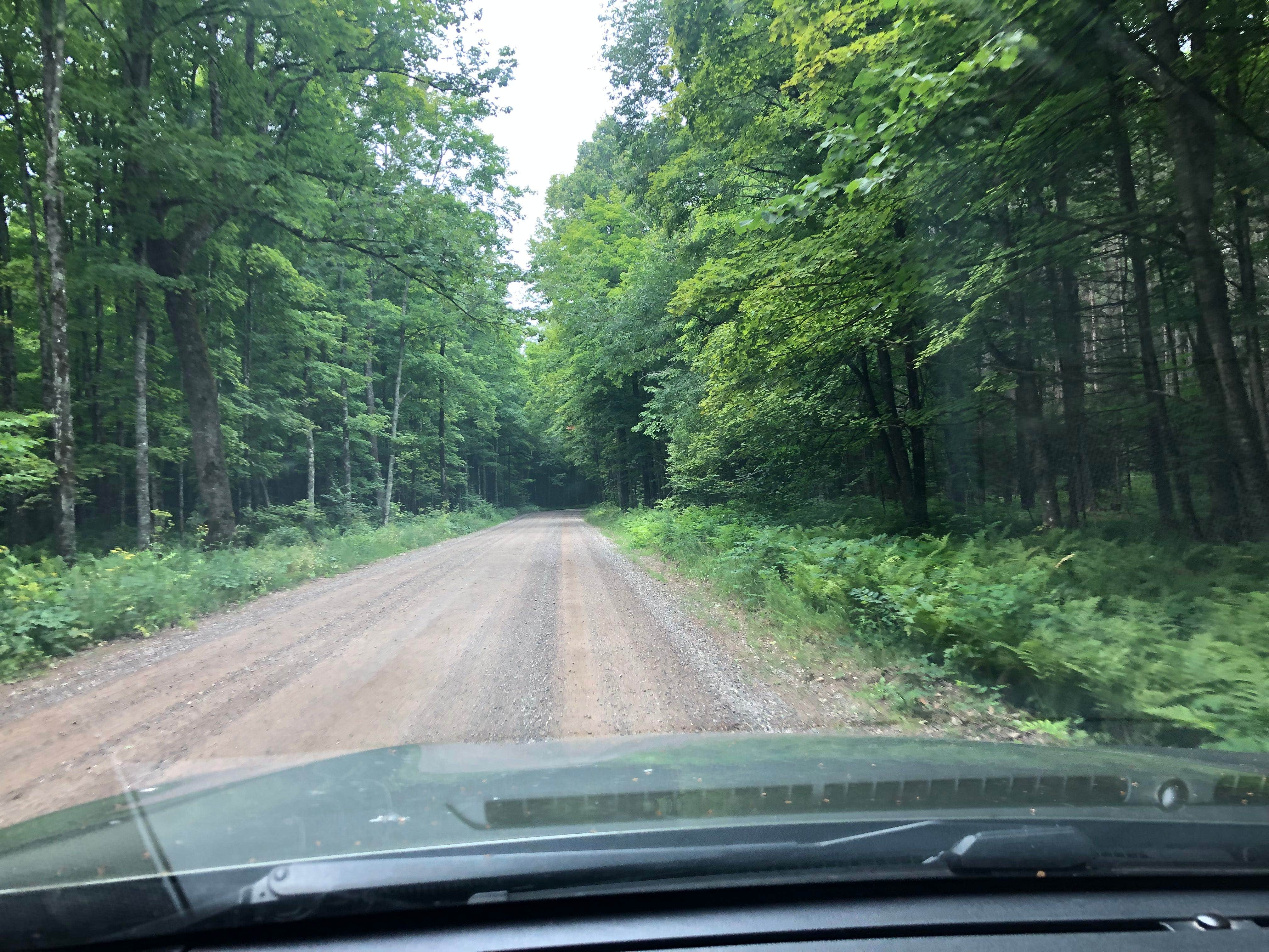 Camper submitted image from Lost Lake Cabins - 2