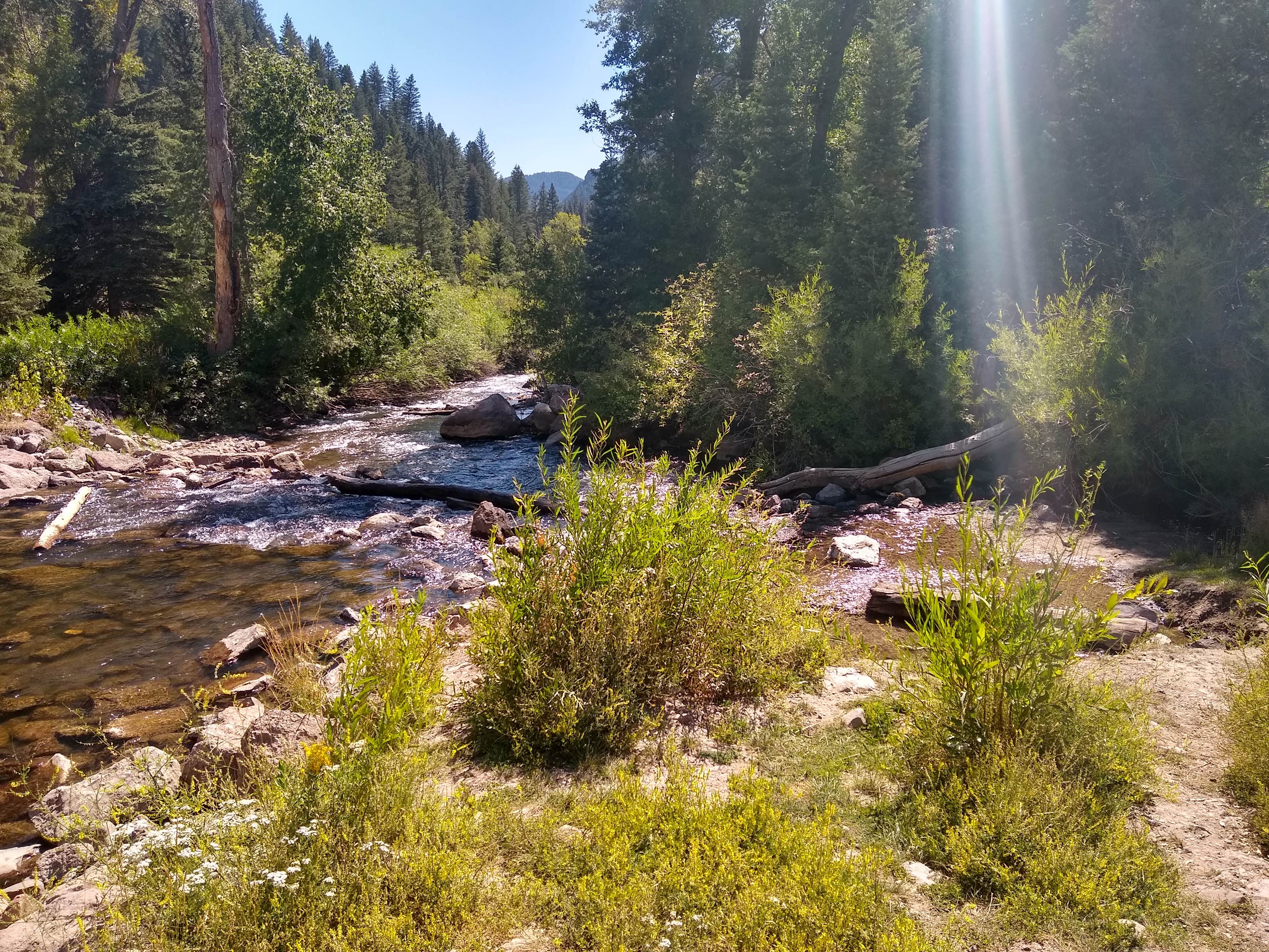 Granite Flat (Utah) The Dyrt