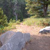 Review photo of Little Blackfoot River Dispersed Campsite by Dexter I., July 30, 2021