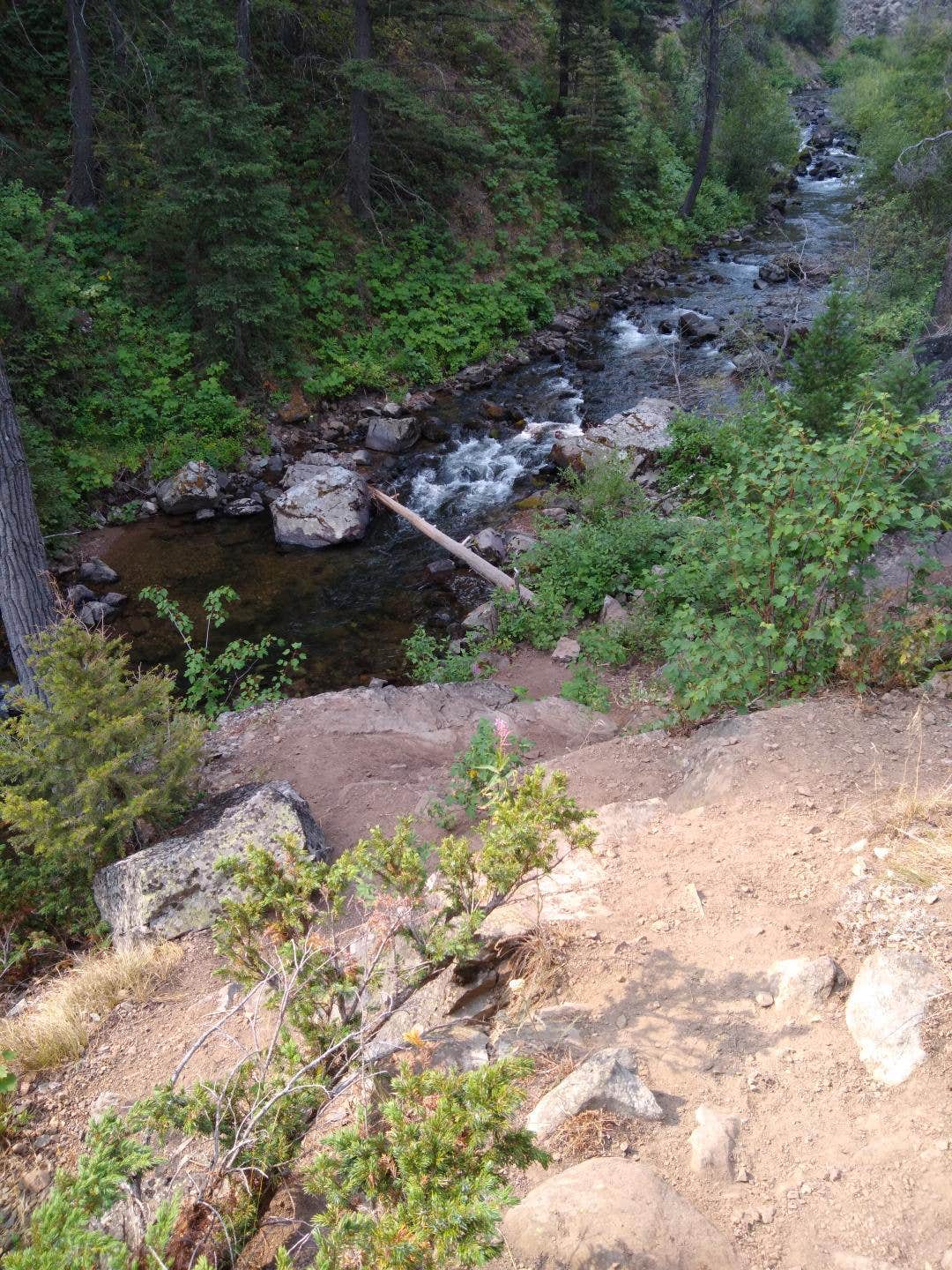 Camper submitted image from Little Blackfoot River Dispersed Campsite - 3