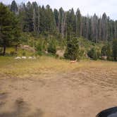 Review photo of Little Blackfoot River Dispersed Campsite by Dexter I., July 30, 2021