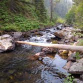 Review photo of Little Blackfoot River Dispersed Campsite by Dexter I., July 30, 2021