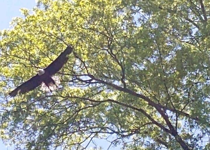 Narrowsburg Campground Camping Narrowsburg, NY The Dyrt