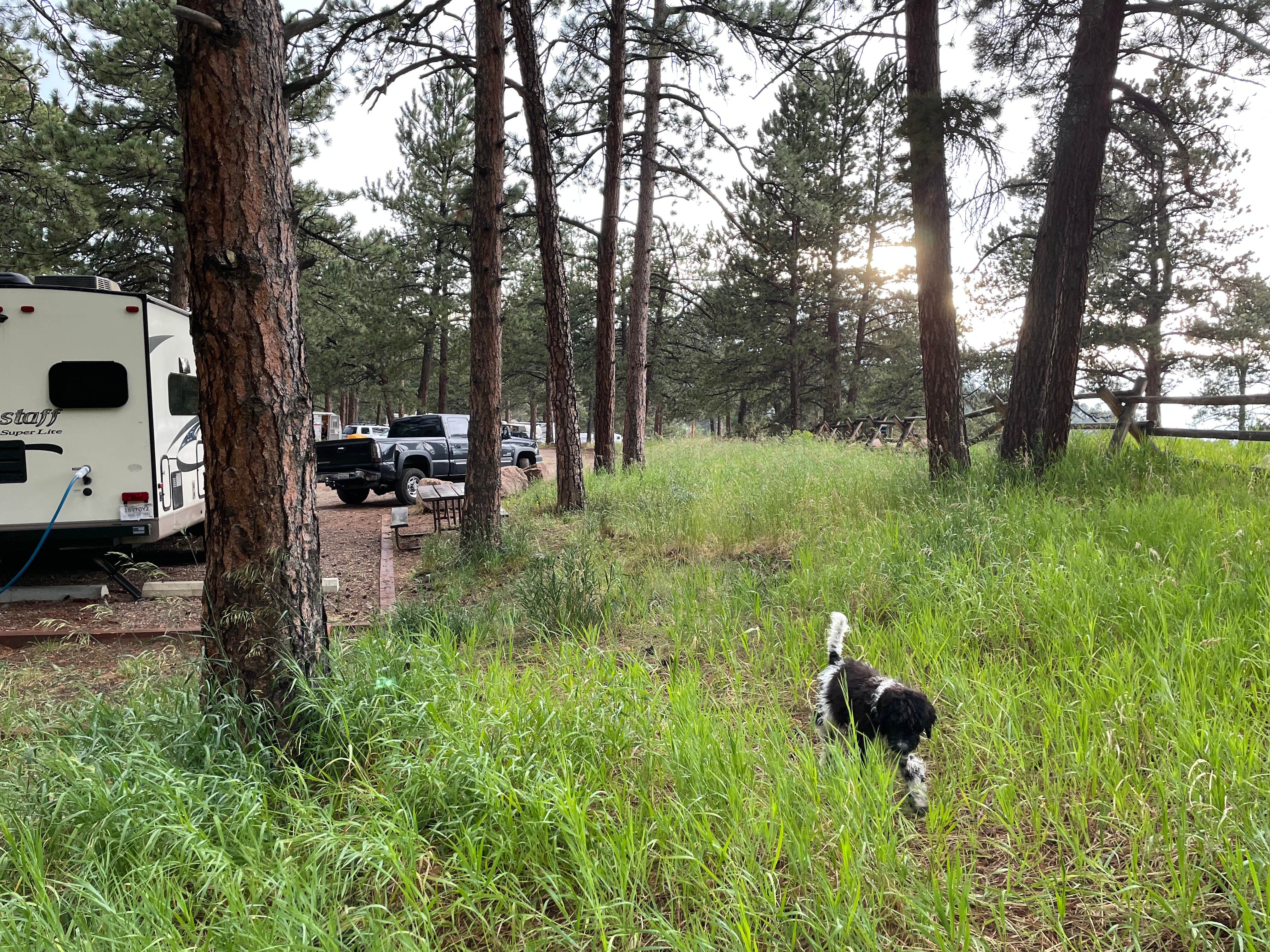 Cory D.'s photo of camping with pets at Chief Hosa Campground near Littleton, CO