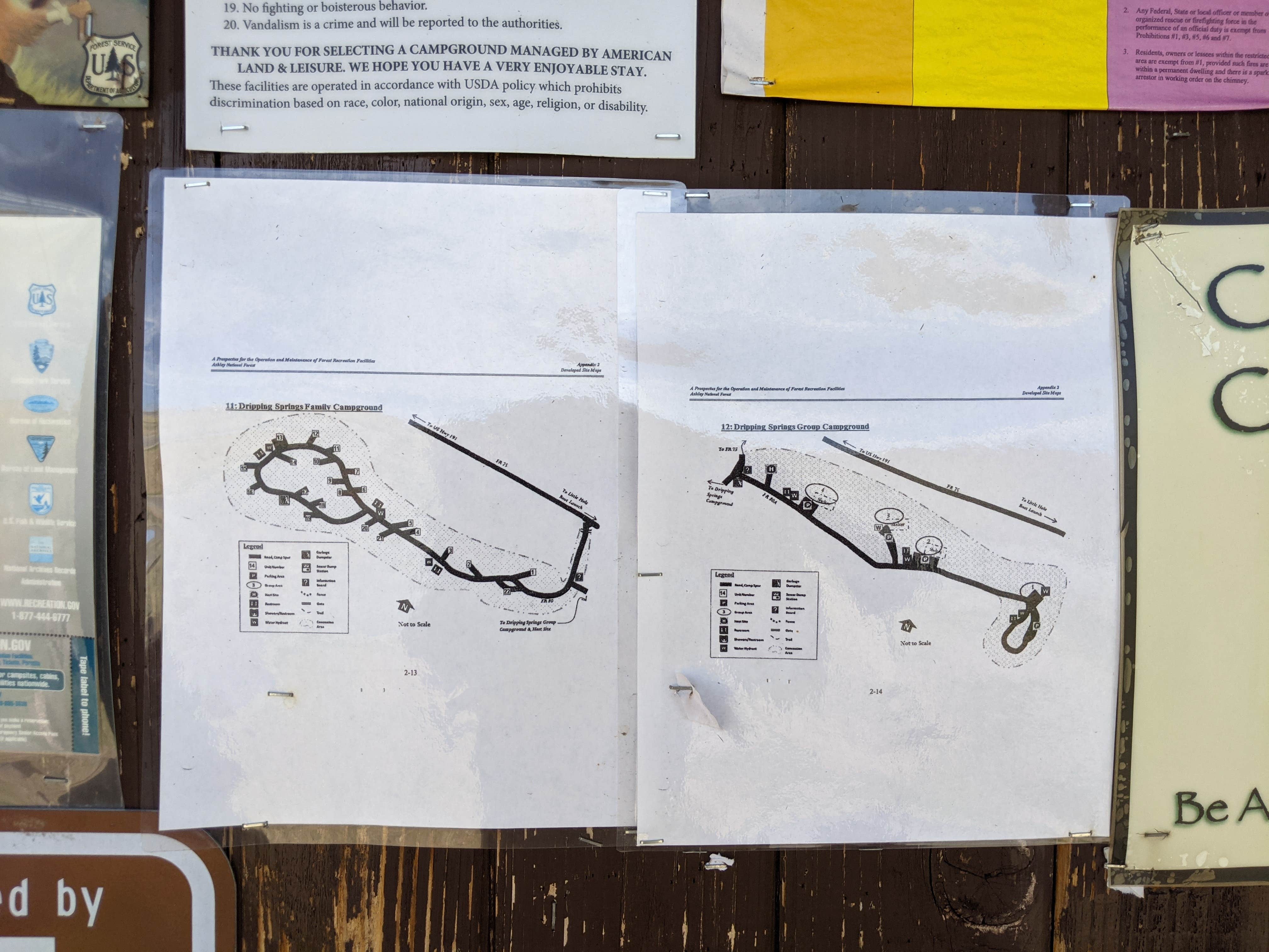 Camper submitted image from Dripping Springs Campground (UT) - 3