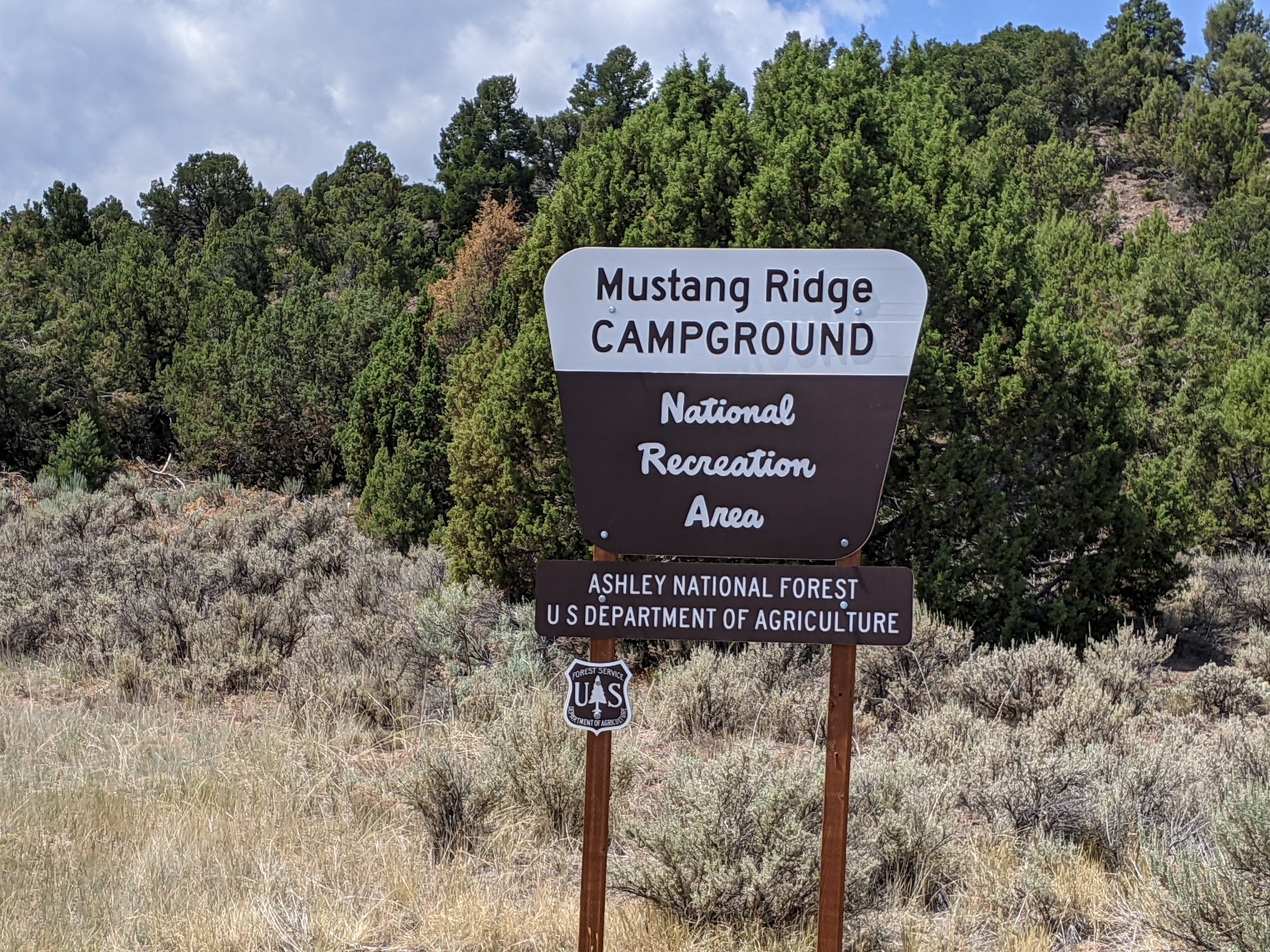 Camper submitted image from Mustang Ridge Campground - 5