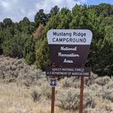 Review photo of Mustang Ridge Campground by Greg L., July 30, 2021