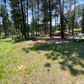 Review photo of Stockade South Campground — Custer State Park by Jessica M., July 30, 2021