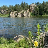 Review photo of Stockade South Campground — Custer State Park by Jessica M., July 30, 2021