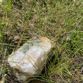 Review photo of Stockade Lake S - Custer State Park by Jessica M., July 30, 2021