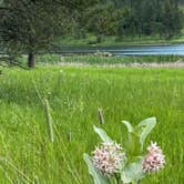 Review photo of Stockade Lake S - Custer State Park by Jessica M., July 30, 2021