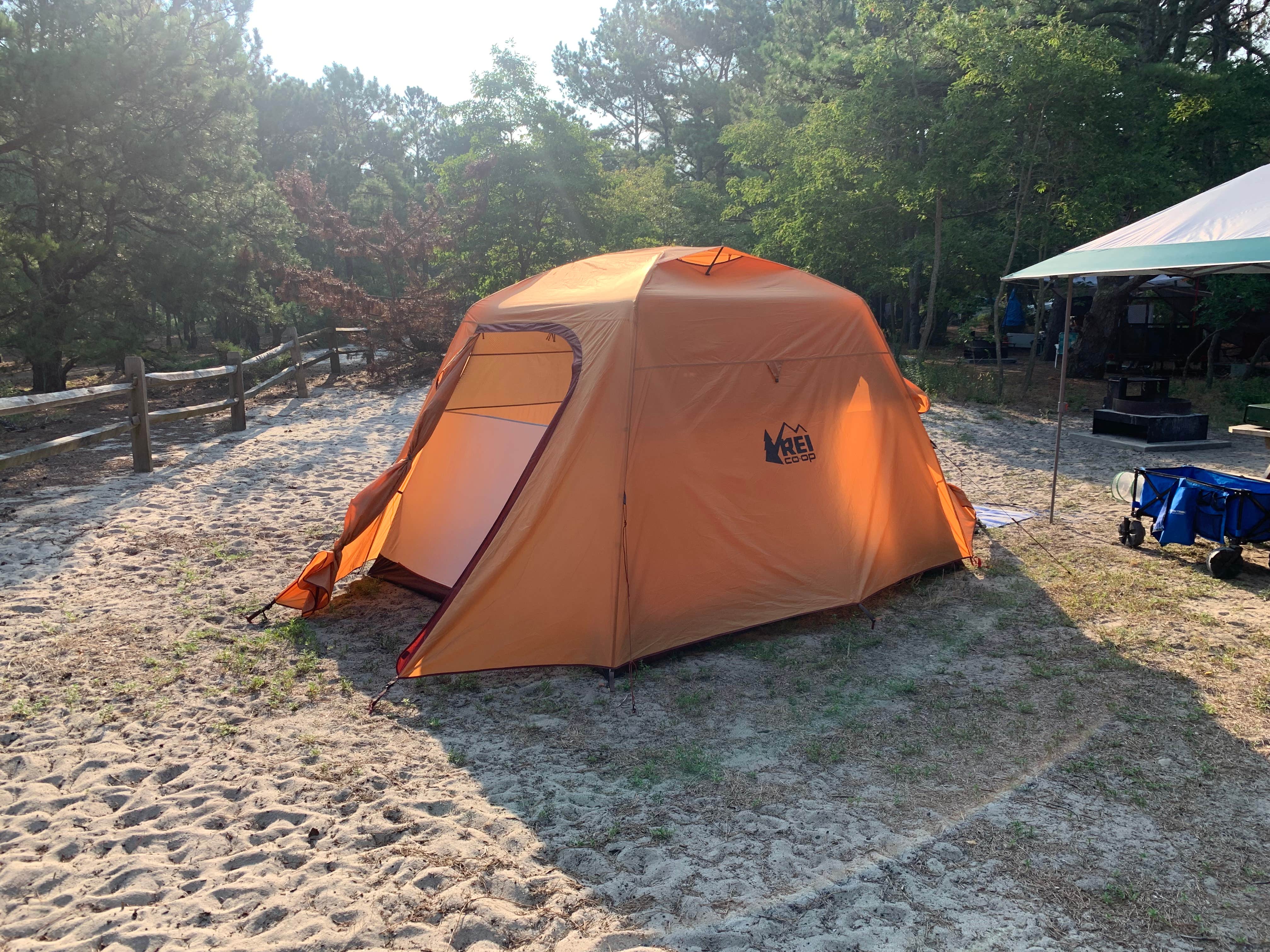 Alexandra T.'s photo at Cape Henlopen State Park Campground near Milford, DE
