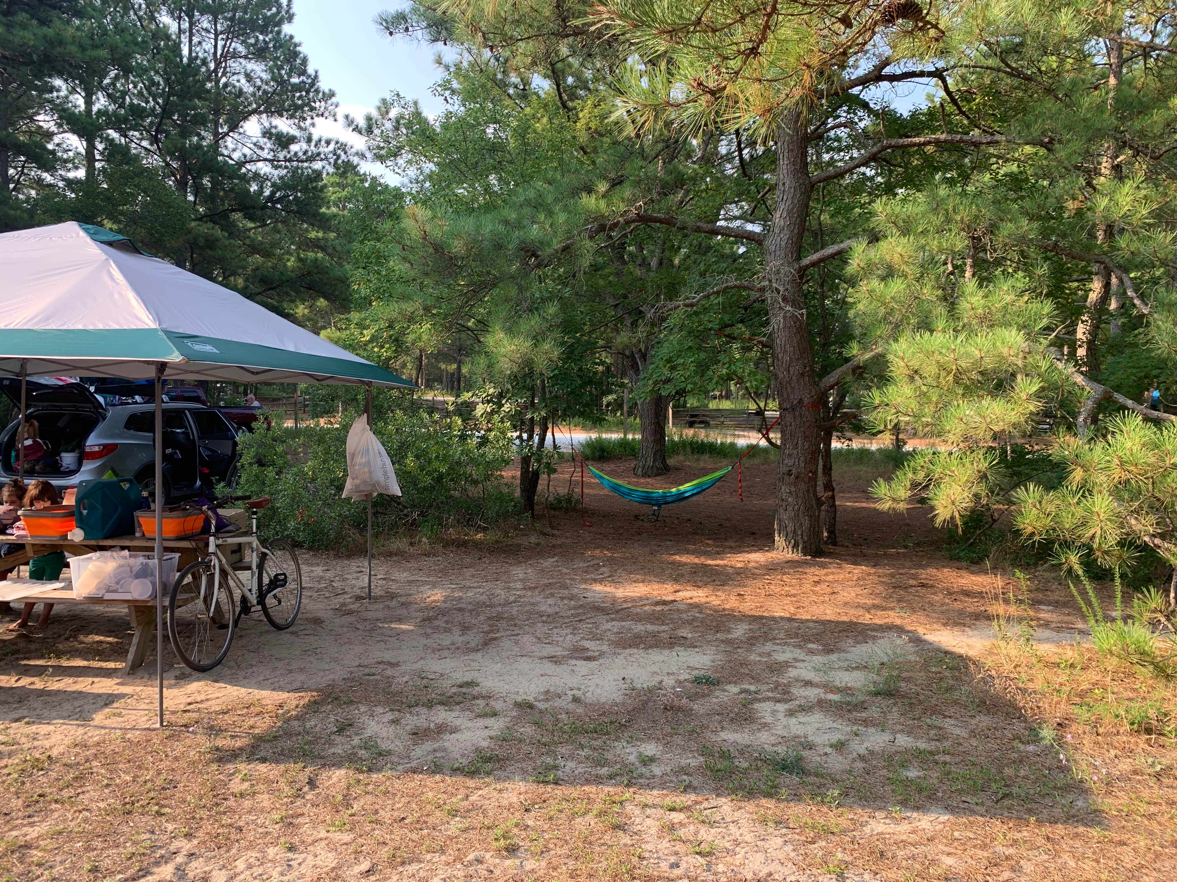 Alexandra T.'s photo at Cape Henlopen State Park Campground near Millsboro, DE