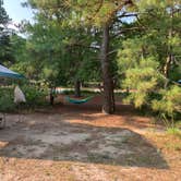 Review photo of Cape Henlopen State Park Campground by Alexandra T., July 30, 2021