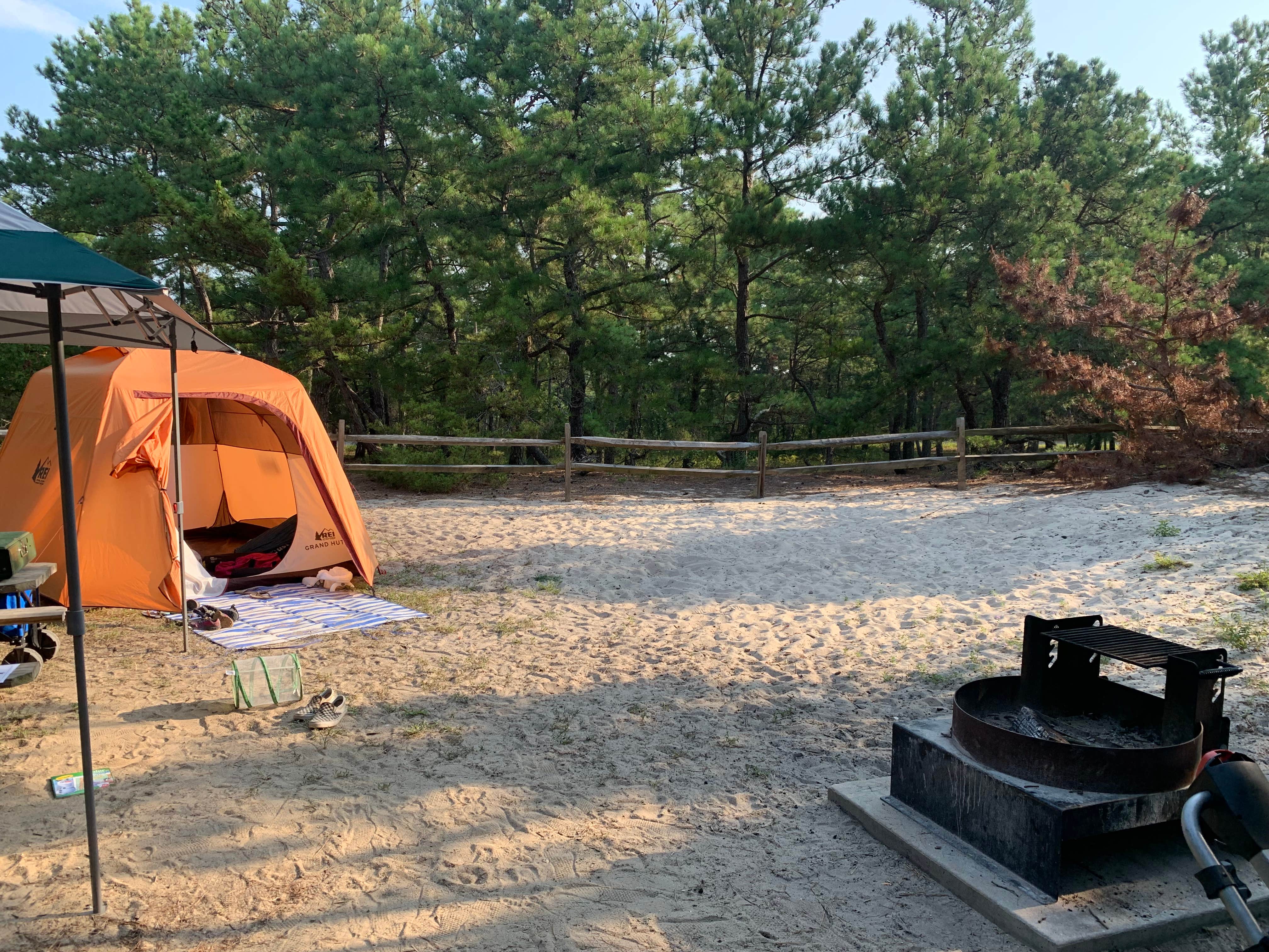 Alexandra T.'s photo at Cape Henlopen State Park Campground near Millsboro, DE