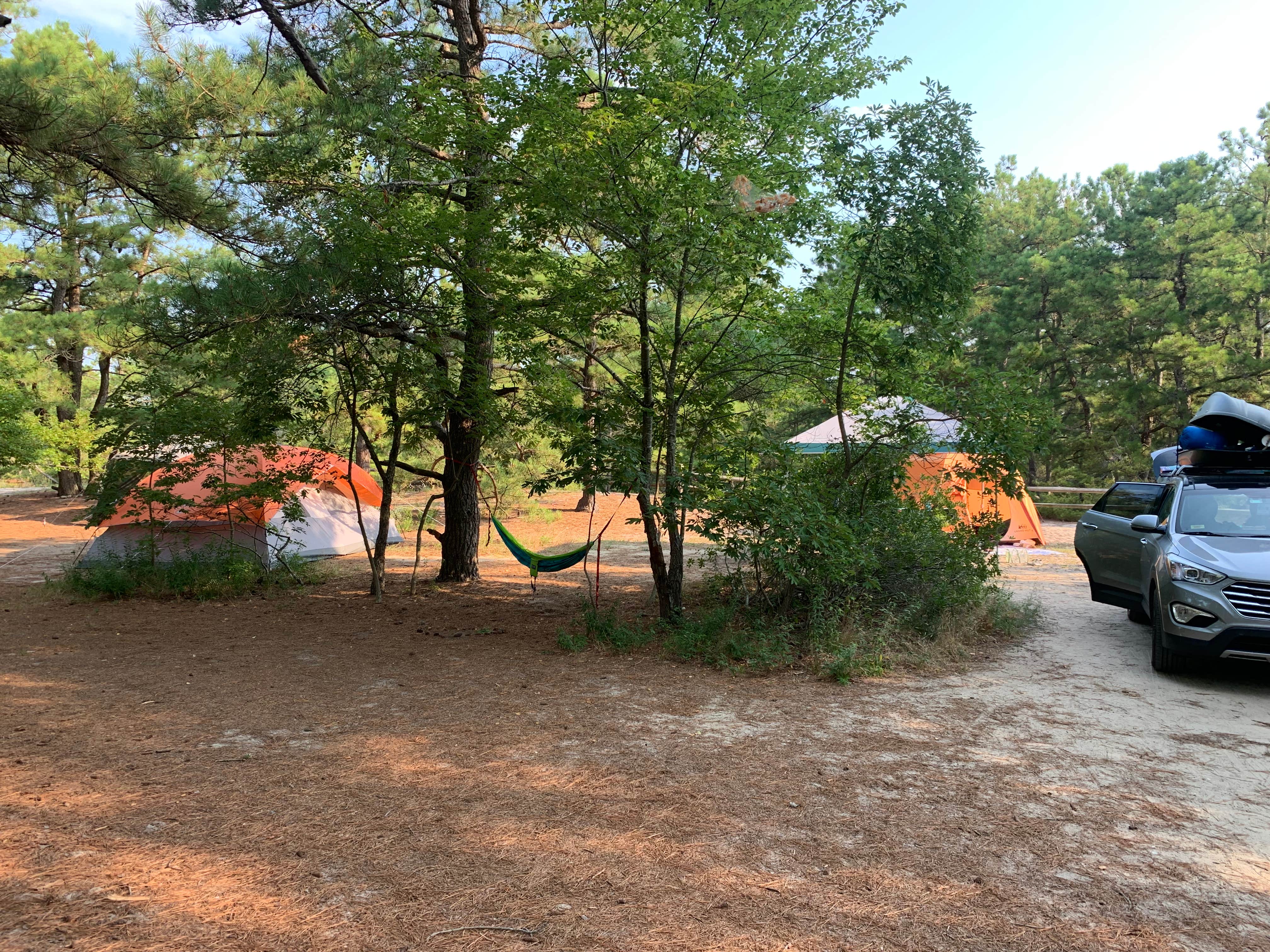 Alexandra T.'s photo at Cape Henlopen State Park Campground near Cape May Court House, NJ