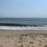 Review photo of Cape Henlopen State Park Campground by Alexandra T., July 30, 2021