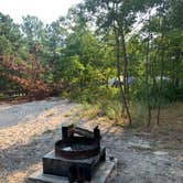 Review photo of Cape Henlopen State Park Campground by Alexandra T., July 30, 2021