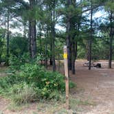 Review photo of Cape Henlopen State Park Campground by Alexandra T., July 30, 2021