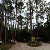 Review photo of Chassahowitzka River Campground by Christy C., July 18, 2016