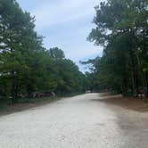 Review photo of Cape Henlopen State Park Campground by Alexandra T., July 30, 2021