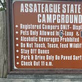 Review photo of Assateague State Park Campground by Jean C., July 30, 2021