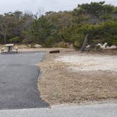 Review photo of Assateague State Park Campground by Jean C., July 30, 2021