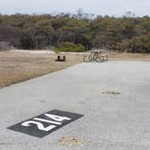 Review photo of Assateague State Park Campground by Jean C., July 30, 2021