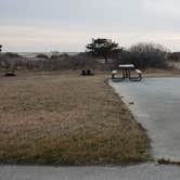 Review photo of Assateague State Park Campground by Jean C., July 30, 2021