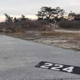 Review photo of Assateague State Park Campground by Jean C., July 30, 2021