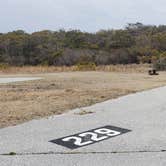 Review photo of Assateague State Park Campground by Jean C., July 30, 2021