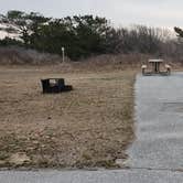 Review photo of Assateague State Park Campground by Jean C., July 30, 2021