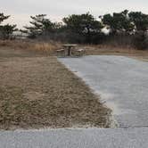 Review photo of Assateague State Park Campground by Jean C., July 30, 2021