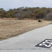 Review photo of Assateague State Park Campground by Jean C., July 30, 2021