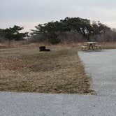 Review photo of Assateague State Park Campground by Jean C., July 30, 2021