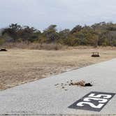 Review photo of Assateague State Park Campground by Jean C., July 30, 2021