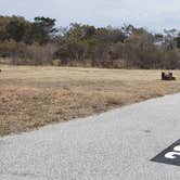 Review photo of Assateague State Park Campground by Jean C., July 30, 2021