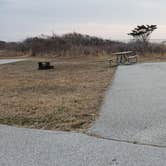 Review photo of Assateague State Park Campground by Jean C., July 30, 2021