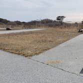 Review photo of Assateague State Park Campground by Jean C., July 30, 2021