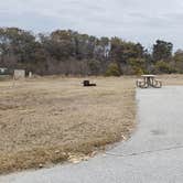 Review photo of Assateague State Park Campground by Jean C., July 30, 2021