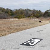 Review photo of Assateague State Park Campground by Jean C., July 30, 2021