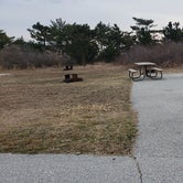 Review photo of Assateague State Park Campground by Jean C., July 30, 2021