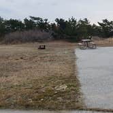 Review photo of Assateague State Park Campground by Jean C., July 30, 2021