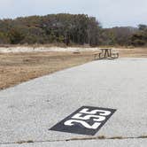 Review photo of Assateague State Park Campground by Jean C., July 30, 2021